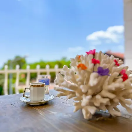 Abelia Hotel