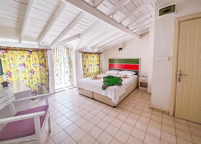 Abelia * Küçükkuyu