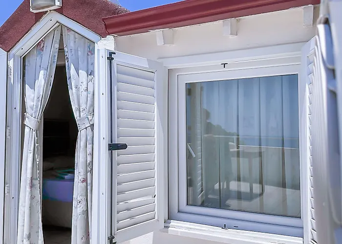 Abelia * Küçükkuyu